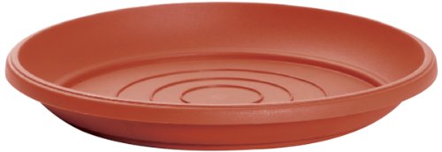 Bonsai Boy Parisian Red Ceramic Humidity Drip Bonsai Tray - Round 8 x 1 OD 7 5 x 1 0 ID