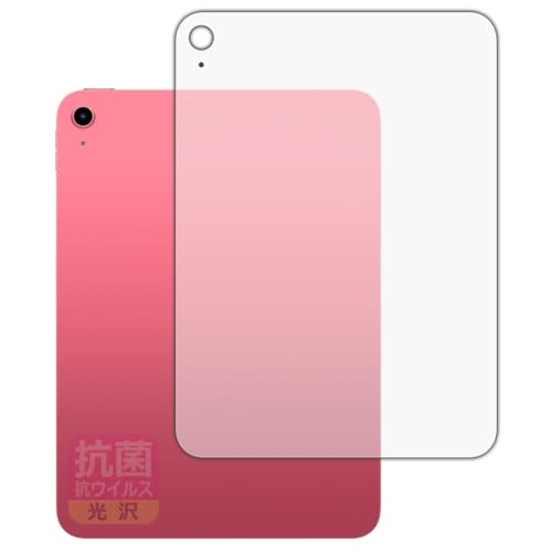 PDAH[ iPad (A16E2025Nf 11C` 11) Ή R RECX[] ی tB [wʗp] [Wi-Fif] {