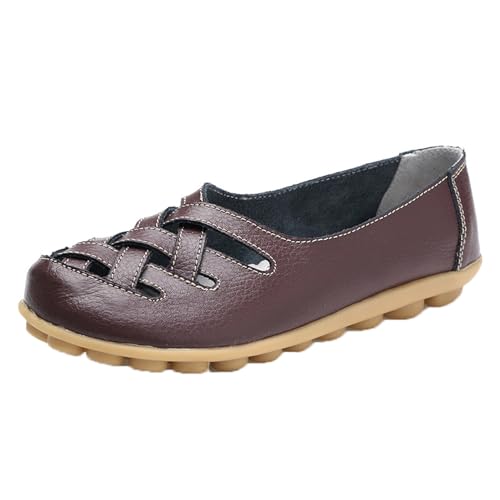 [uEP] fB[X JV 25.5cm ؂ [t@[ ₷ R[q[F ʋC ~ 킢 }}V[Y tbgV[Y  Ȃ wlC _炩 EhgD RtH[g EH[LO  E₷ 