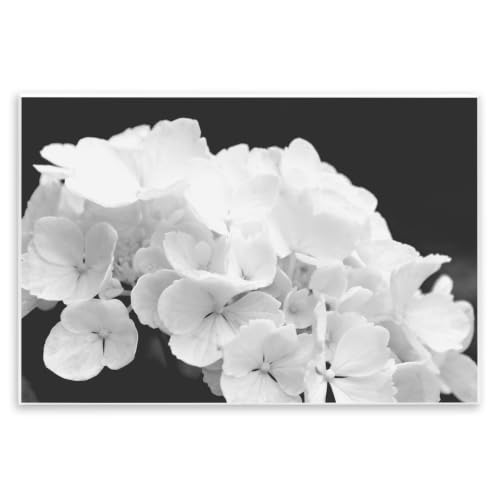 Delicate White Hydrangea, 10 x 15 Inch Mounted Print on Wall Plaque