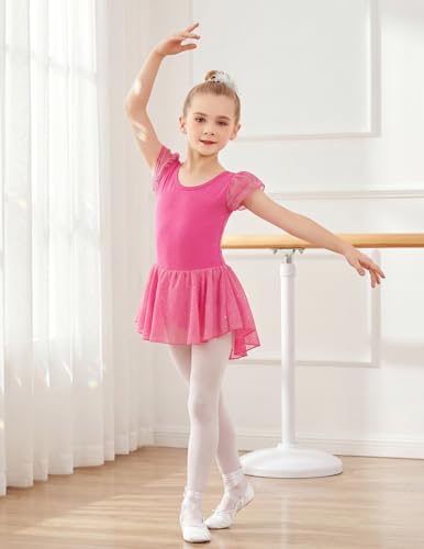 Image of Arshiner Girls Shiny Ruffle Sleeve Ballet Leotard with Skirt Criss-Cross Back Dance Dresses