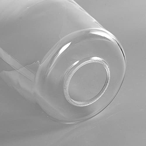 Anmire 2 Pack Clear Glass Shade, Modern Light Fixture Replacement Globe Or Cover With 1-5/8-Inch Fitter For Chandelier Wall Sconce Pendant Light, G0026 #TOP5