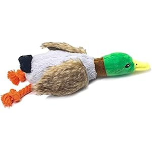 Hotype Jouets pour Chiens, Jouets Interactifs à Mâcher pour Chiot, Jouets Sonores en Peluche pour Chiens, Durables Jouet pour Les Chiens de Petites et Moyennes — Canard