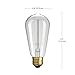 GLOBE Electric 31324 40W Vintage Edison S60 Squirrel Cage Incandescent Filament Light Bulb 3-Pack, E26 Base, 145 Lumens, Edison Bulbs, Vintage Light Bulbs, E26 Light Bulb, Home Improvement
