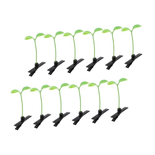 ELAYARD 12 킢wANbv JWAŏvȔ `[t ȃwAs qp