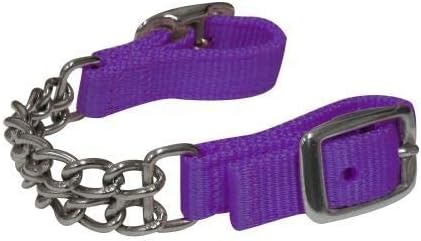 Adjustable Double Chain Nylon Curb Strap (Teal)
