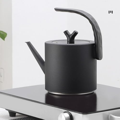 Bouilloire en acier inoxydable noir durable et verseuse de précision