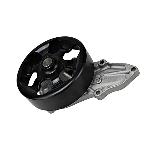 Pompa dell'acqua del motore Baceyong con