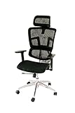 Ergomax, w/Headrest & Armrests Ergonomic Height Adjustable, Breathable Mesh Fabric, Home Office Chair, 53 in. Max, Black