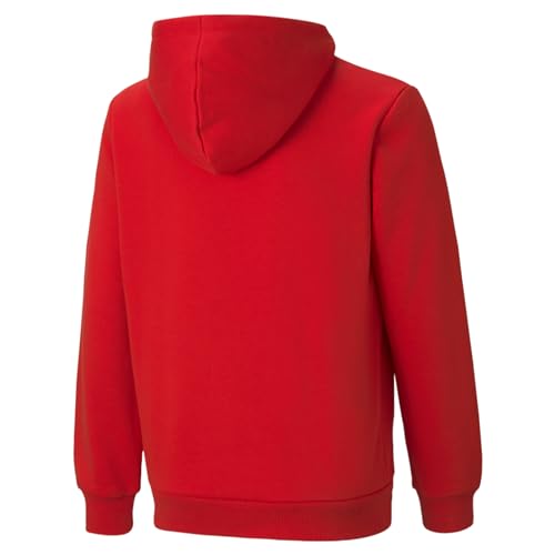 Image of Puma Boys Cotton Hooded Neck Sweatshirt