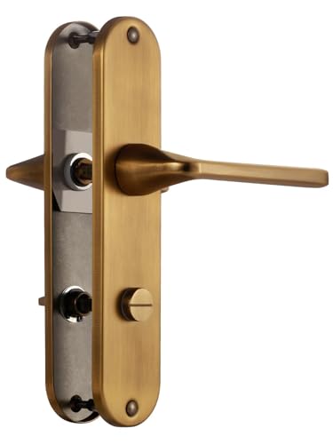 SORWDUERM Poignée de porte Laiton antique Garniture de béquille, Acier inoxydable brossé mat,72mm Entraxes de poignée de porte pour porte d'entrée et porte intérieure, Forme en L