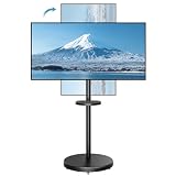 ECOTINY テレビスタンド 32~65インチ対応 縦横回転 壁寄せ 耐震 移動式 自立式 ハイタイプ テレビ台 VESA/横100～400mm/縦100～400mm 耐荷重40kg 高さ6段階調整 角度回転 TVスタンド おしゃれ 省スペース 家用 会社 学校 病院 ビジネス展示 棚付き キャスター付き (ブラック, 32~65インチ)