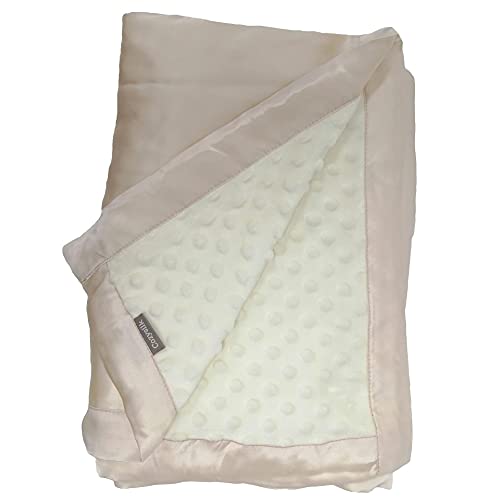 Image of Baby Soft Silk Blanket - 100% Mulberry Silk On One Layer with Minky Plush Dot Blanket Backing - Reversible Double Layer, Gift for Girls /Boys Best for Summer (28 x 40 inch, Champagne)
