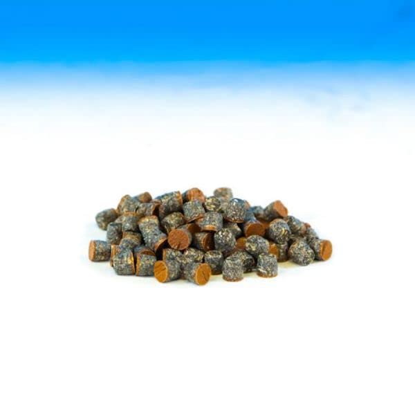 Starborn Pro Plug System Plugs for Composite Decking - Trex Transcend Lineage - 75 pc (T-20 Bit Included) (Rainier)