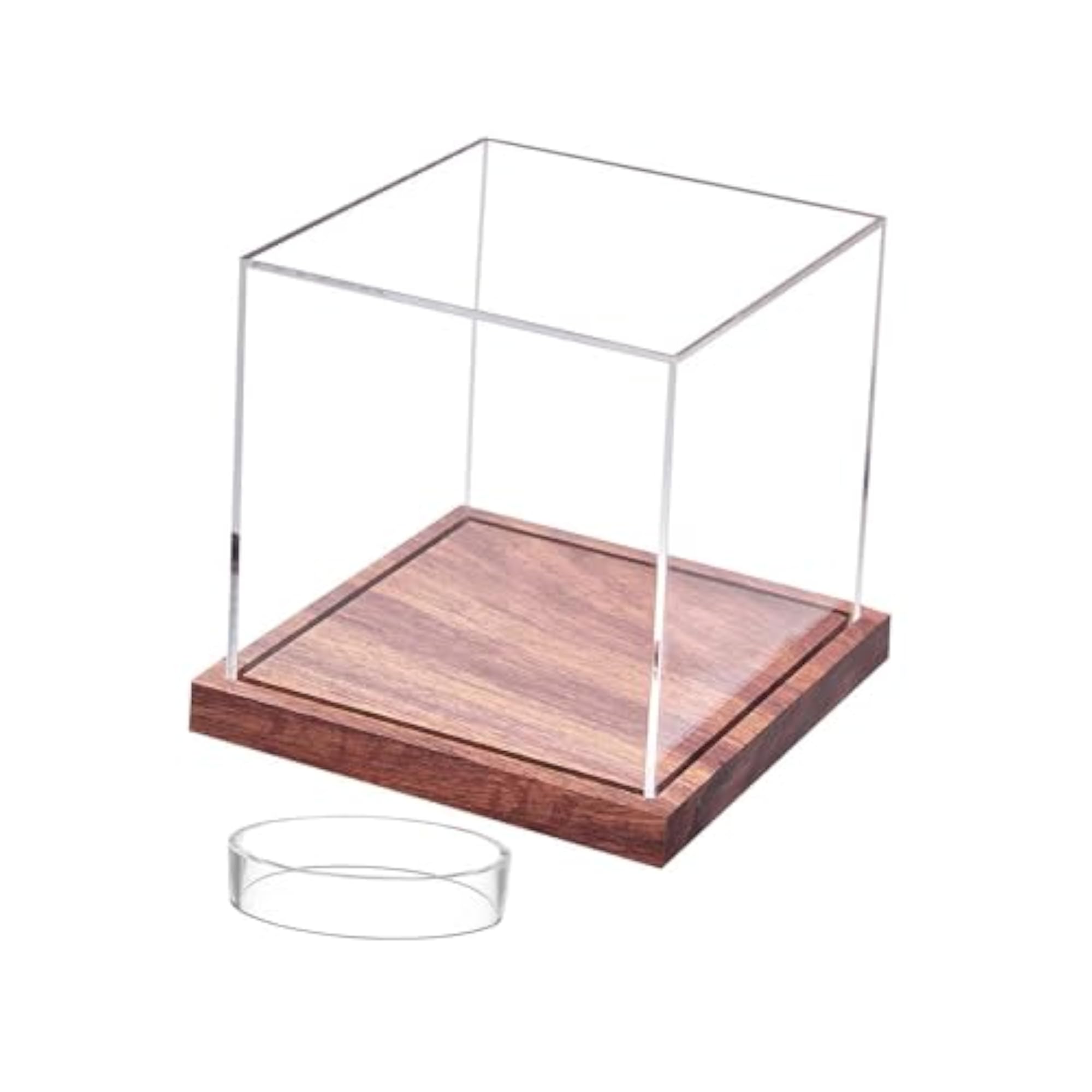Portable Acrylic Baseball Display Case