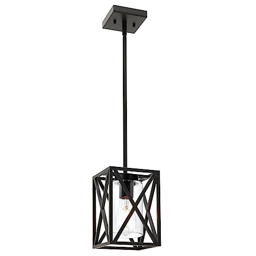 TODOLUZ Lámpara colgante de jaula negra con pantalla de vidrio transparente para cocina, pasillo, comedor, vestíbulo, dormitorio