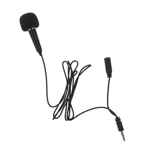 ibasenice Vocal Microphones Set Portable Microphone Mini Mic Appearance for Family Entertainment and Outdoor Use
