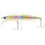 006 Chartback Rainbow Orange Berry