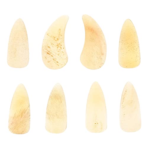 LRXIYODE 8⶗pwb yʕیtBK[sbN tKpANZT[