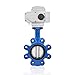 UNOX Butterfly Valve DN80 (3