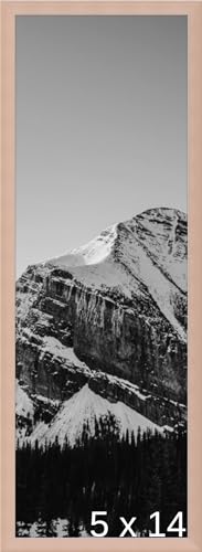 Frame It Easy 5 x 14 Rose Gold Metal Frame (Ashford)