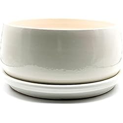 Macetas De Barro Blancas ALFAREROS DAMIAN CANOVAS Maceta DE Barro Modelo Bazinga ESMALTADO Blanco + Plato + Medidas 25 CM X12CM