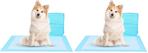 Image of Super Absorbent Waterproof Dog and Puppy Pet Training Pad, Housebreaking Pet Pad,Blue (22 inchx22 inch(100PCS)) (Pack of 2)