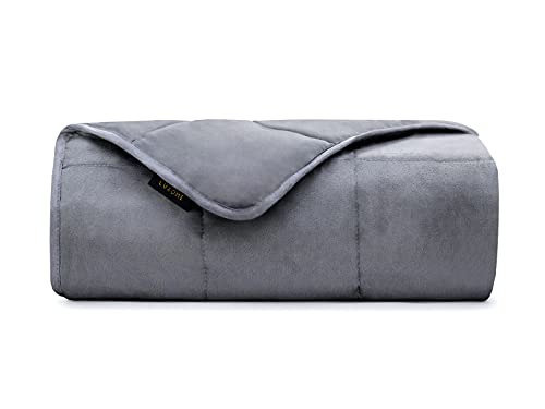 LUXOME Full Size Weighted Blanket | Integrated Bamboo & Minky Cover | 15 lbs | 54"x72" | Cooling Bamboo & Cozy Minky