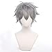 maysuwell Grey Cosplay Wig Anime Short Straight Wigs Halloween,Christmas,Daily Fashion, Anime and Gaming Expo,Fancy ball