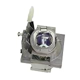 CHENZGYG Accessori RLC-108 Adatto for VIEWSONIC PA503S PA503X PA500S PG603X VS16905 VS16909 PS500X PS501X PS600X (senza mercurio, alimentato da Led)