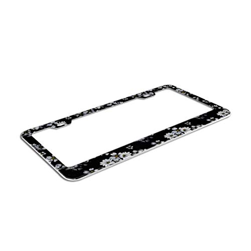 Tropical Flowers White Daisies Black - License Plate Frame, Flower Car Frames, License Plates Holder, Lisences Plate Cover Art Floral For Women Men Auto Decoration #TOP6