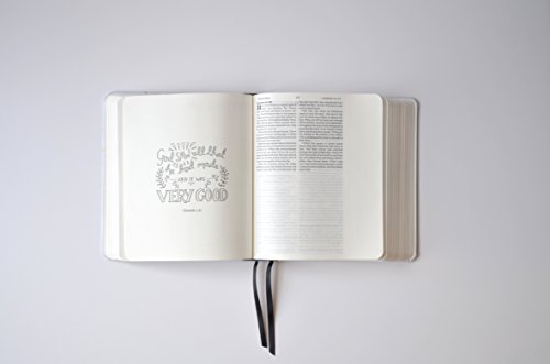 Image of NIV BIBLE FOR JOURNALLING AND VERSE-MAPPING: GREY