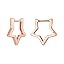Rose Gold Star