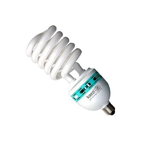 KAEZI 85 Watt Studio Light Bulb 5500K CFL Day Light. Cover