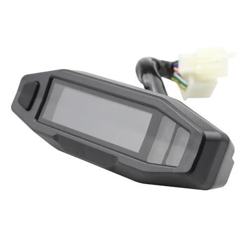 KR200p̈ʓIȃoCNfW^Xs[h[^[xCWP[^[