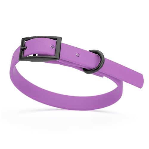 Image of Dogline Biothane Waterproof Dog Collar Strong Coated Nylon Webbing with Black Hardware Odor- Proof for Easy Care Easy to Clean High Performance Fits Small Medium or Large Dogs, Amethyst Purple