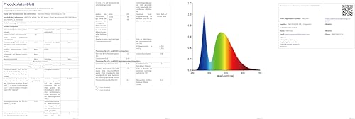 LED Kellerlampe mit Bewegungsmelder Innen, IP65 Kellerleuchte LED Wandlampe, 12W 1200LM Deckenleuchte mit Bewegungsmelder, 4000K Feuchtraumleuchte Oval für Keller Treppe Garage Flur