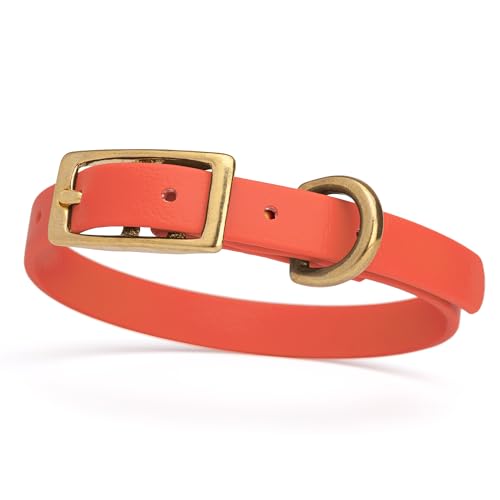 Image of Viper Biothane Heavy Duty Waterproof Dog Collar Strong Coated Nylon Webbing w /Solid Brass Hardware Odor-Proof Easy to Clean High Performance Fits Small Medium or Large Dogs, Coral