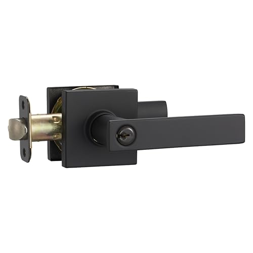 Image of Amazon Basics Contemporary Stamford Entry Door Lever, Easy Installation, Matte Black, 1-Pack
