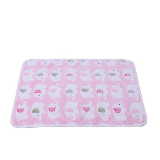 24 * 16 inch Warm and Soft Cute Bed Blankets in Winter
