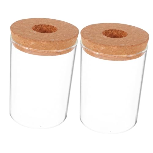 TOYANDONA 2 Piezas Terrarios de Vidrio Transparente para Plantas de Propagación Escritorio Jarrones Hidropónicos para Micro Paisajes y Decoración Interior de Oficina y Hogar