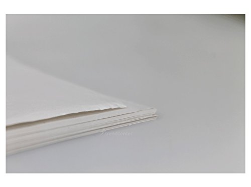 Pergamentersatz 1/8 Pergamentersatzpapier Zuschnitte Papier Verpackungspapier 25 x 37,5 cm 1/8