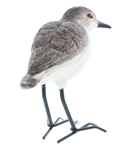 Figura Realista de Ave Costera Estatua de Playero de Resina miniatura 4