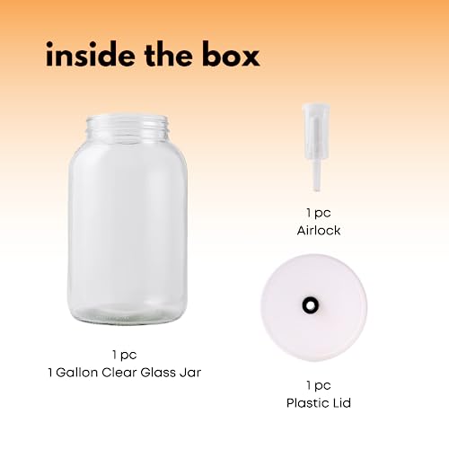 FastRack One Gal Wide Mouth Jar with Lid and Airlock, Large Glass Jar