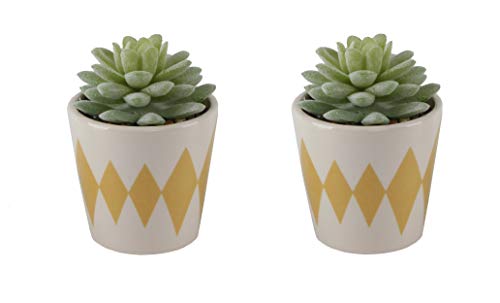 Flora Bunda Artificial Plants Cactus Set of 2 Artificial Succulent in 3