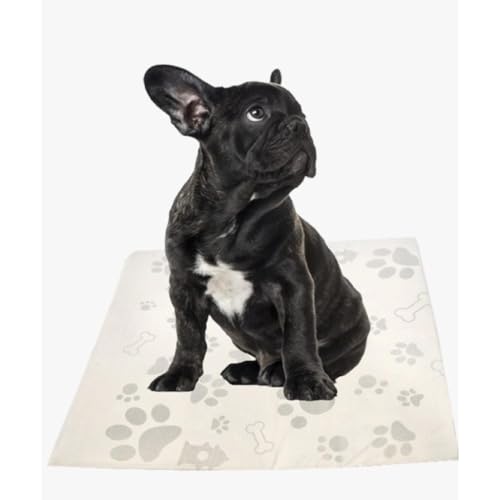 Jornal Higienico Biodegradável Para Pet - 3 Kg / 168 Folhas