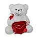 Orso di peluche bianco romantico Bear San Valentino Orsetto di peluche morbido 20 cm Ideale coppia