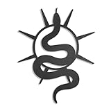 Material: madera OYEFLY Mural decorativo de pared con espejo de serpiente negra y luna creciente, serpiente gótica (estilo 2)