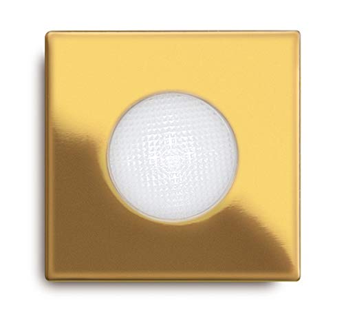 Balises LYRA transparentes : luminaire encastrable haut de gamme avec boîtier 230V