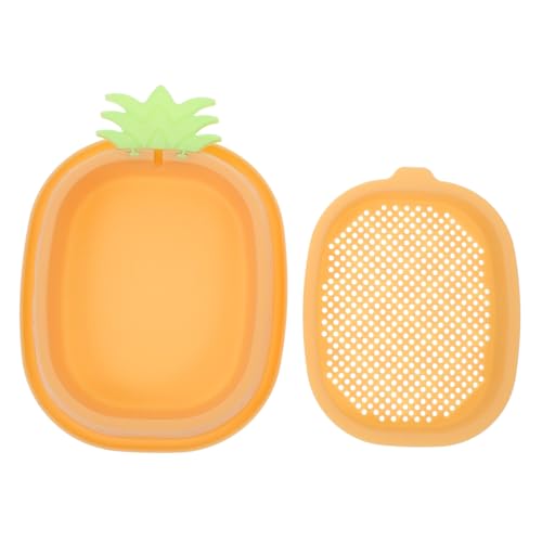 BCOATH 水耕栽培の猫草ボックス 成長中 水耕プランター 子猫草プランター